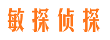 安县市调查公司